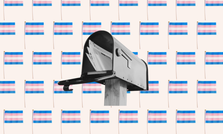 Right-wing media and the mystery of Texas’ transgender mailers