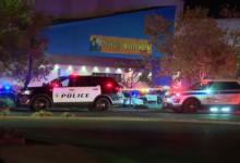Spirit Halloween shopper recounts heart-stopping escape from California store as 1 killed, 6 hurt in shooting